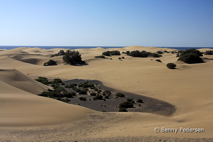 Dunas de Maspalomas.jpg - Dunas de Maspalomas
